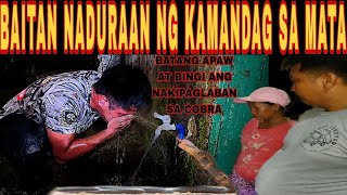 BATANG APAW AT BINGI NAKIPAGLABAN SA COBRA BAITAN NADURAAN NG KAMANDAG SA MATA cobraprince kmjs [upl. by Anirtak]