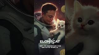 🌠 Step into the Future with ELONXCAT 🌠 [upl. by Asirrak]