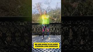 8 standing core exercisesDiastasis Recti exercise Arogya physiotips corerehab diastasisrecti [upl. by Ardnoid843]