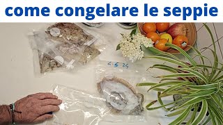 seppie congelatecome e perchè congelarle [upl. by Ocnarfnaig]