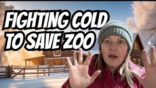 Saving the Homestead Zoo Battling Freezing Temperatures [upl. by Karlie293]