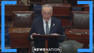 Chuck Schumer calls for new elections in Israel on Senate Floor [upl. by Neu653]