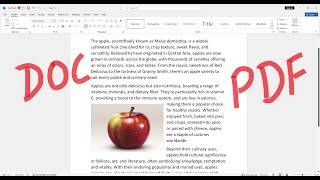 Doc to PDF Convert [upl. by Nuavahs]