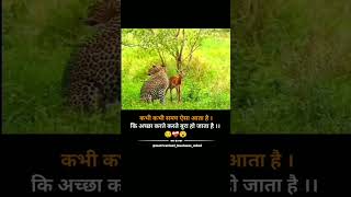 मेरे सिवा कोई ओर ना ले जाए प्रतिभावान 😢😌shortsvideo motivation uspr Badgoti [upl. by Delia]