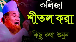 কলিজা শীতল করা কিছু কথা শুনুন শায়েখ আজিজুল ইসলাম জালালী নতুন ওয়াজ । Shaikh Azizul Islam Jalali Waz [upl. by Engle69]