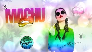 REGGAE  MACHUCANDO  DJ EDIS FEAT AILTON ANDRADE PRODVL BEAT [upl. by Ahern]