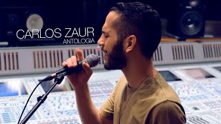 Shakira  Antologia  Cover  Carlos Zaur [upl. by Desma812]