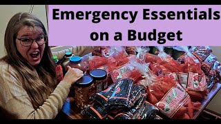 20 Extremely Important Essentials to Stockpile on A Budget [upl. by Marteena706]