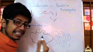 Transformation Vs Transfection [upl. by Ardnusal]