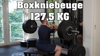 Maximalkraft  Frontkniebeuge auf eine Box mit 1275 Kg [upl. by Hluchy]