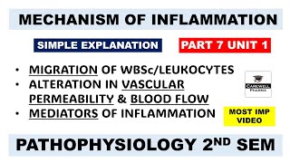 Inflammation  Mechanism Of Inflammation  Mediators Of Inflammation  Ch 3 U 1  Pathophysiology [upl. by Leilah]