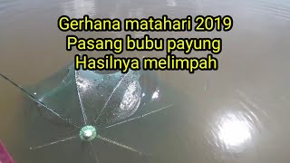 Gerhana matahari cincin 2019saya pasang bubu payung hasilnya Waww [upl. by Sida]