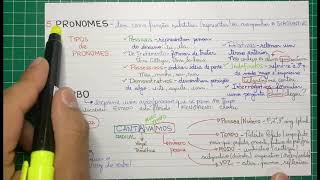 Revisão  Morfologia Completa [upl. by Oliva]