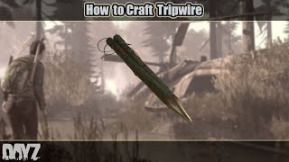 DayZ How to Craft Tripwire [upl. by Tratner]