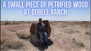 DoBell Ranch Petrified Wood wonder land [upl. by Barbee205]