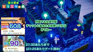 2024616【あつ森】カブ価608ampウリ902130あたりまで【チャットに島名と名前書いてからきてね〜】 [upl. by Esinart550]