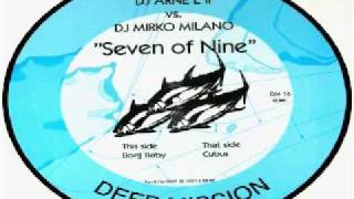 DJ Arne L II vs DJ Mirko Milano  Cubus Seven Of Nine [upl. by Slein]