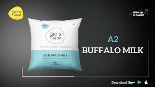 Sids Farm Fresh Milk  A2 Buffalo Milk  A2 Desi Cow Milk  Cow Milk  A2 Buffalo Double Toned Milk [upl. by Amery]