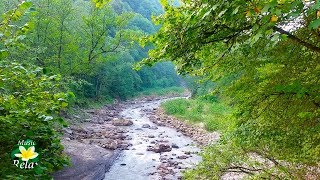 8 Hours Relaxing Nature Sounds  River Noise and Birdsong [upl. by Vanthe]