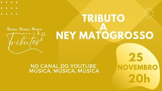 TRIBUTO A NEY MATOGROSSO [upl. by Kathie]