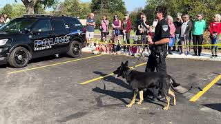 Greenfield K9 Echo Demonstration  Greendale Village Vet [upl. by Nirot427]