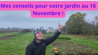 Quels sont mes conseils jardins pour le 10 novembre chez Philippe 😅 [upl. by Gati546]