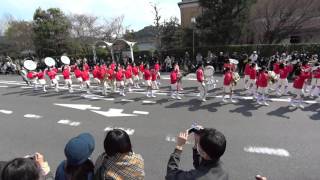 京都市立修学院中学校吹奏楽部 2016 京都さくらパレード [upl. by Annaig702]