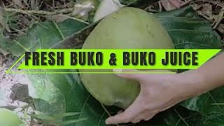 Plants Pal TV is live FRESH BUKO amp FRESH BUKO JUICE ASMR Satisfying Sounds asmr [upl. by Pytlik]