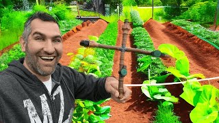 Water Your Garden EASILY With DIY Drip Irrigation [upl. by Emia]