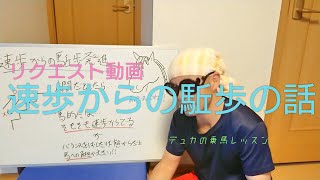 【乗馬】速歩からの駈歩発進について問い合わせあったから動画にしてこたえてみた【馬ブログ】 [upl. by Harvard177]