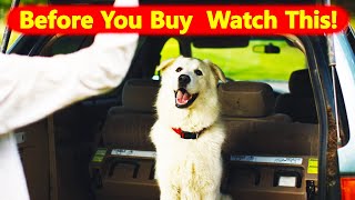 Maremma Sheepdog Breed 7 Facts To Know Before Buying [upl. by Radu]