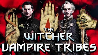 The Vampire Tribes  Witcher Lore  Witcher Mythology  Witcher 3 Lore [upl. by Idolah]