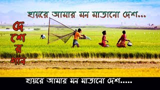 Hayre Amar Mon Matano Desh । হায়রে আমার মন মাতানো দেশ [upl. by Meek]