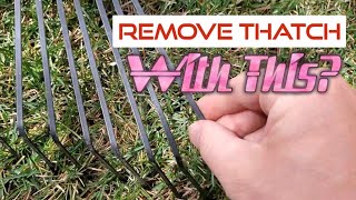 Can You Dethatch A Lawn With A Regular Garden Rake [upl. by Novyak]