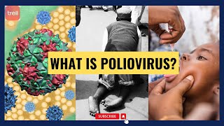 Understanding What Is Poliovirus polio virus health kids youtube video medicine medical [upl. by Jesh]