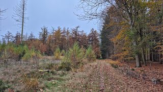 Hike Westerbork [upl. by Lillywhite829]