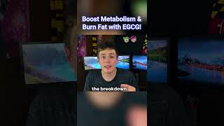 How I use EGCG to boost metabolism amp burn fat [upl. by Anrahc917]