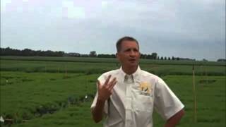 CREC Lentils Fungicide Efficacy and Disease Screening [upl. by Rob]