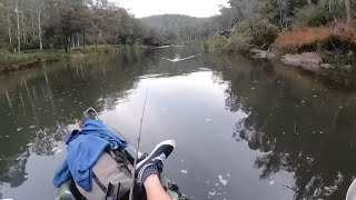 Exploring The Magnificent Nymboida River Walkabout day 3 [upl. by Hnib]