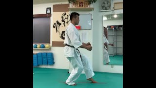 空手・基本の立ち方（初心者向け）Kyokushinkarate Basic Stances [upl. by Eenafit892]