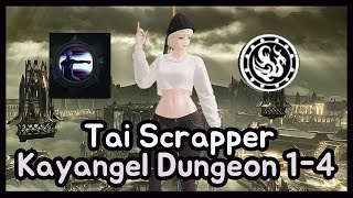 Lost Ark Tai Scrapper Kayangel Dungeon 14 with Comments [upl. by Nonna976]