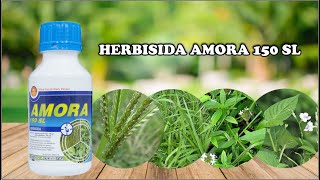 HERBISIDA AMORA 150 SL [upl. by Alah]