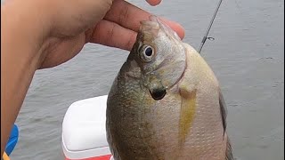 Lake Conroe Fishing [upl. by Owiat842]