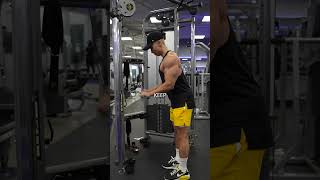 STOP Doing Triceps Pushdowns LIKE THIS Do THIS Instead [upl. by Lerak]