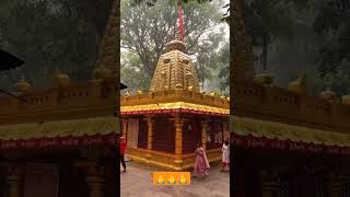 Japali teertham🙏🙏🙏 god tirupati tirumala devotionalsongs youtube [upl. by Beckett]