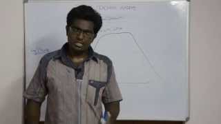 Bacterial Growth  Tamil [upl. by Saffian784]