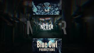 quotNeverquot Instrumental Rap Beat Blue Owl Productions [upl. by Hseham]