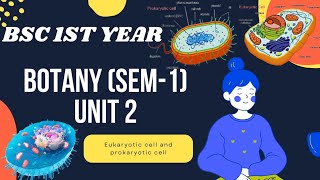 Bsc 1st year Botany Sem1 Unit 2 Microbial World eukaryotic and prokaryotic cell [upl. by Melnick]