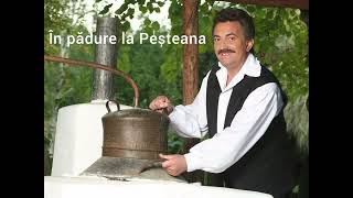 Petrică Mâțu Stoian  În pădure la Peșteana  Varianta Originală [upl. by Luemas]