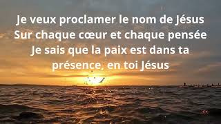 JE VEUX PROCLAMER LE NOM DE JESUS [upl. by Chappie]